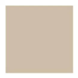 Papier kraft ingraissable 34gr/m2  31x38cm